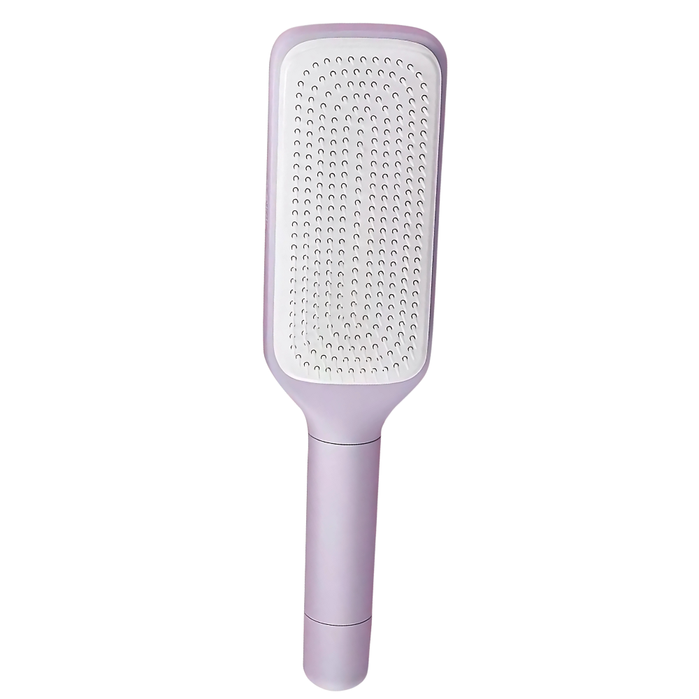 Brosse Rétractable